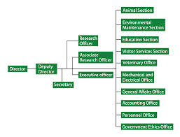 Taipei Zoo Organization Taipei Zoo Organizational Structure