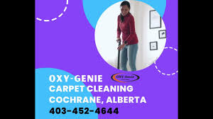 carpet cleaning cochrane oxy genie