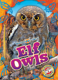 elf owls bellwether a inc