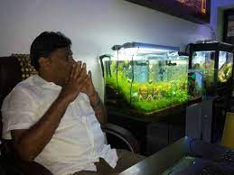 www.aquariumdesignindia.com gambar png
