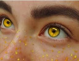 bee makeup and eyebrows image