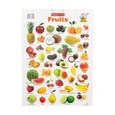 Apple Tree Fruits Preschool Charts 1 13 5 Inch 19 5 Inch Wall Chart