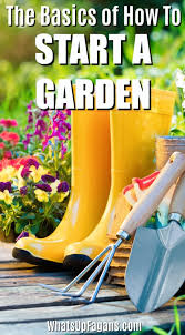 How To Start A Garden Basic Gardening