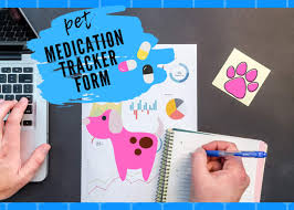 Suzywright I Will Provide Pet Medication Tracker Chart For 5 On Www Fiverr Com