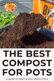 Best Compost For Pots And Containers