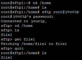 sftp commands securely transfer files