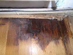 repair wood floor water damage water