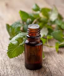 using peppermint oil to get rid of mice
