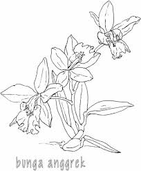 Sketsa gambar bunga yang mudah untuk ditirukan. Kumpulan Mewarnai Gambar Bunga Indonesia Alamendah S Blog