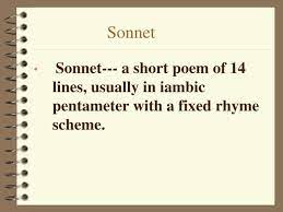 ppt sonnet powerpoint presentation