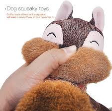 squirrel plush dog toy