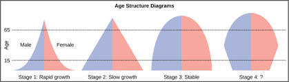 45 4c Age Structure Population Growth And Economic