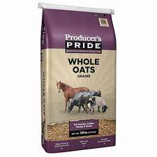 whole oats producer s pride equine