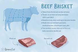 what is beef brisket