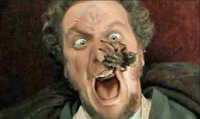 Image result for Home Alone Spider