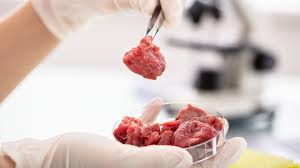 lab grown meat how it s made