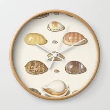 Vintage Seashell Chart I Wall Clock By Fineearthprints