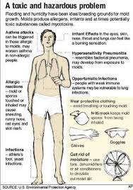Black Mold Symptoms