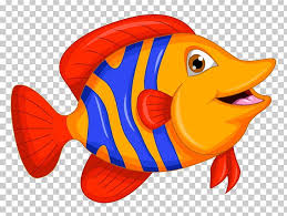 fish cartoon png clipart