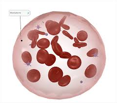 a 3d visual field guide to blood cells