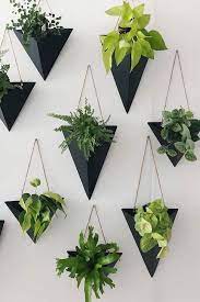 Wall Planter Pots For Devoted Plant