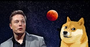 Musk did not say more about the cryptocurrency or invite investment in it, but he did change his twitter bio to former ceo of dogecoin. Dogecoin Surges 68 In Past Week Elon Musk Jokes About It On Twitter Cryptoslate