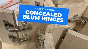 all the main blum hinge types explained