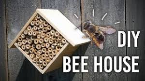 Making a modern bee house is a sweet summer project and a great way to encourage more bees to pollinate your garden. How To Make A Bee House For Your Garden Diy Youtube