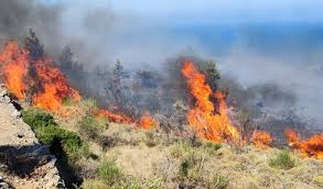 Η φωτιά καίει ανεξέλεγκτα, οι πυροσβεστικές δυνάμεις δίνουν «μάχη» και τα έρικσον επιχειρούν από αέρος. Xios Oi Prwtes Eikones Apo Th Megalh Fwtia Deite Apisteyta Plana Mesa Apo Kananter In Gr