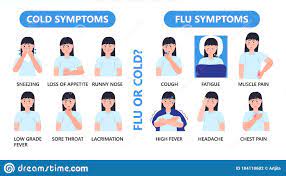 Flu Symptoms Info-graphic Vector ...