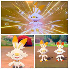 gen8] Shiny 6IV Jolly Female Scorbunny after only 214 eggs!! There goes the  rest of my luck for the year : r/ShinyPokemon