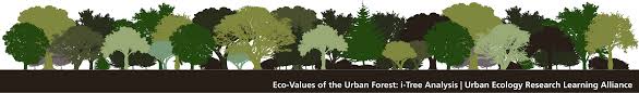 Other Benefits of Urban Forests (U.S. National Park Service)