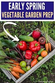 Guide To Early Spring Vegetable Garden