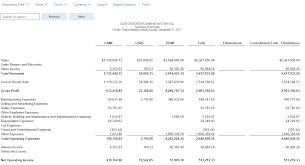 Generate Consolidated Financial Statements Finance Operations