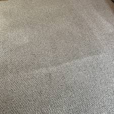 the best 10 carpet cleaning in edmonton
