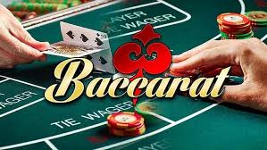 Hoàn tiền lên đến 5000 usd cho cá cược bị thua mỗi tuần - Nhà cái casino nổi bật với những trò chơi hấp dẫn