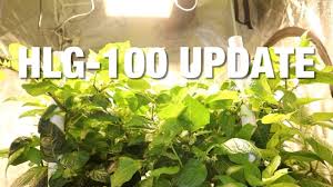 Hlg 100 Quantum Board Grow Light Update 2 Horticulture