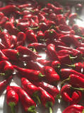 How hot are Fresno chili peppers?