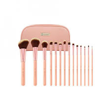 bh chic makeup brushes set with case