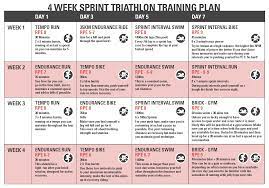 beginners triathlon guide pdf