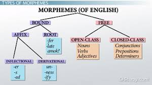 Morphemes Examples Definition Types Video Lesson