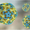 Penyebab flu singapura yang paling umum adalah infeksi coxsackievirus a16, mengutip dari mayo clinic. 1