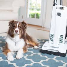 tips for vacuuming pet hair dander