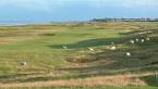 Brora Golf Club, Brora Scotland | Hidden Links Golf