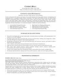 Marketing Manager Resume Format Template