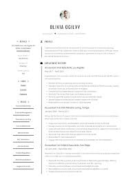 Take a look at our example resume professionally as an accountant, you will be expected to be able to produce a very thorough application which will. Accountant Resume Writing Guide 12 Resume Templates Pdf
