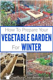 Winter Vegetables Gardening