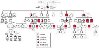 Pedigree Chart Royal Family Hemophilia Bedowntowndaytona Com