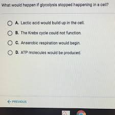 Help the community by sharing what you know. What Would Happen If Glycolysis Stopped Happening In A Cell Brainly Com