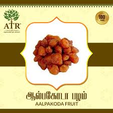 aalpakoda fruit ஆல பக ட பழம